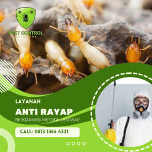 Jasa Anti Rayap Terdekat Murah