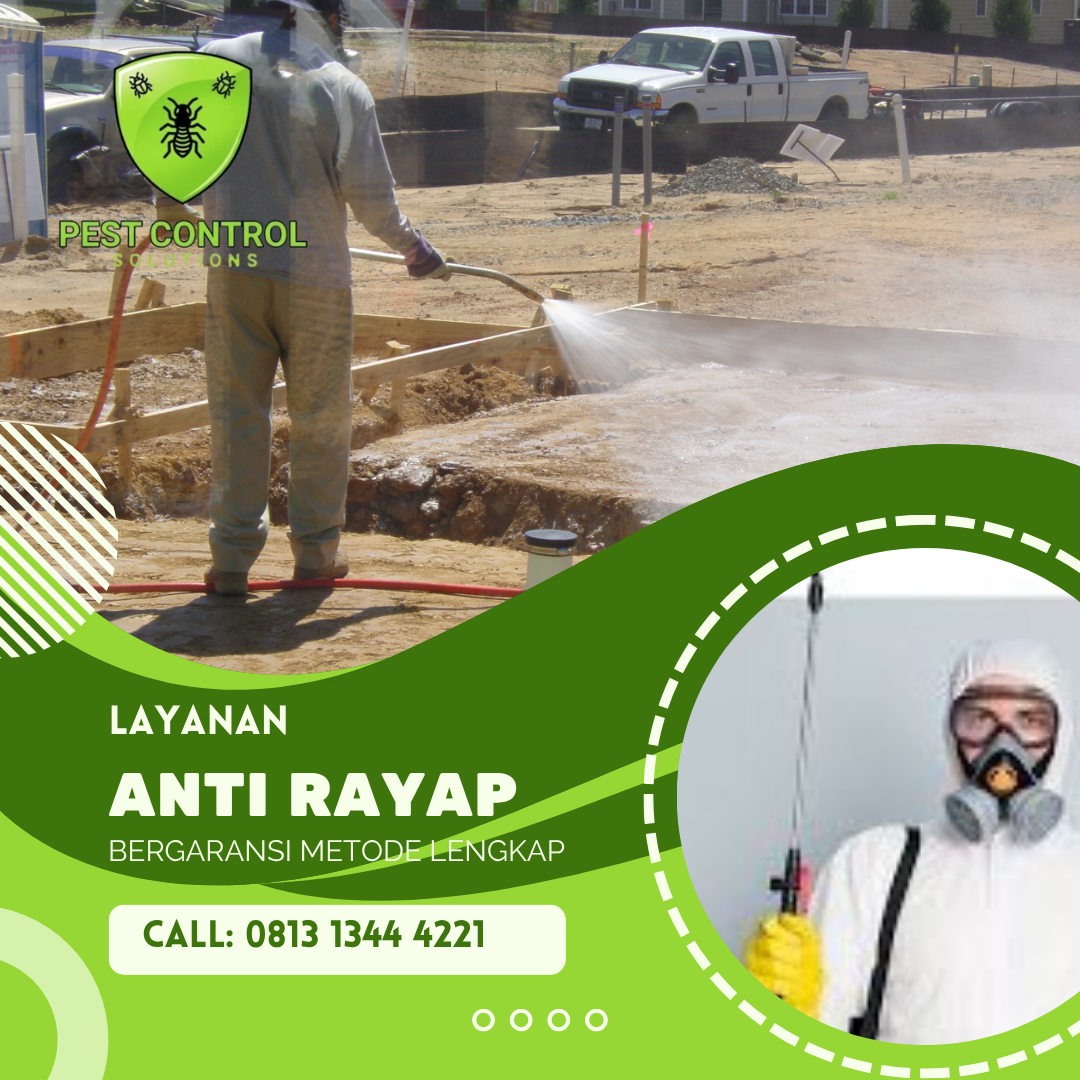 Perbandingan Jasa Suntik Rayap vs Sistem Umpan: Mana yang Lebih Efektif?