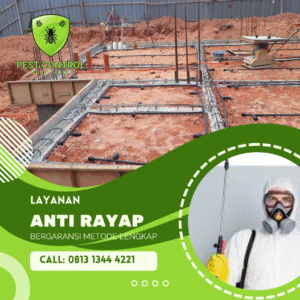 Jasa Pembasmi Rayap Terbaik